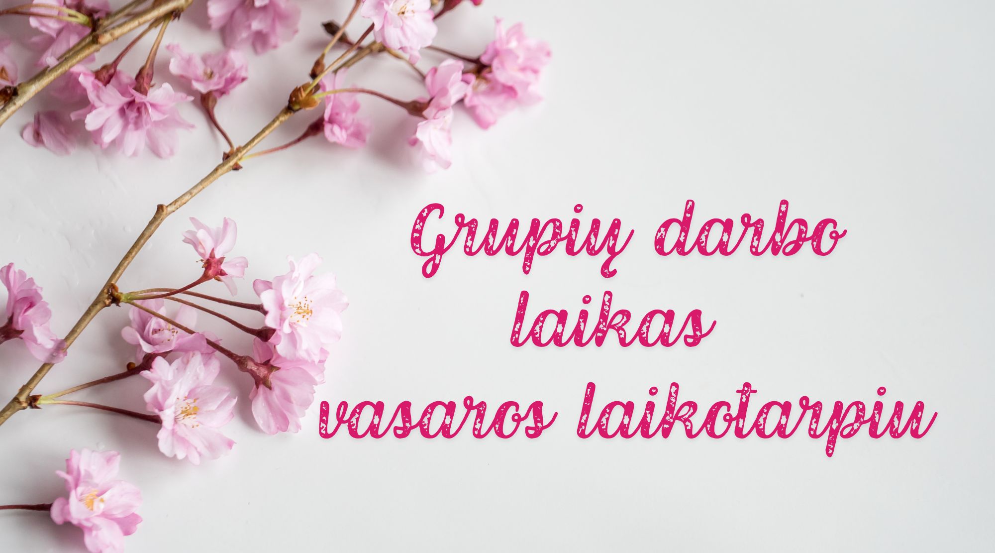 Grupių darbo laikas vasaros laikotarpiu